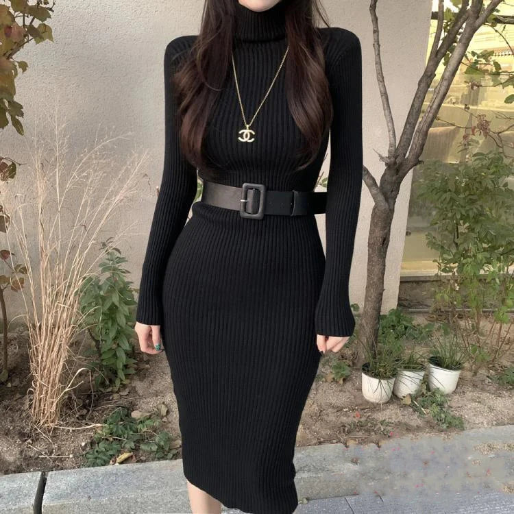 Strickkleid mit Rollkragen — Bodycon, Midi-Länge