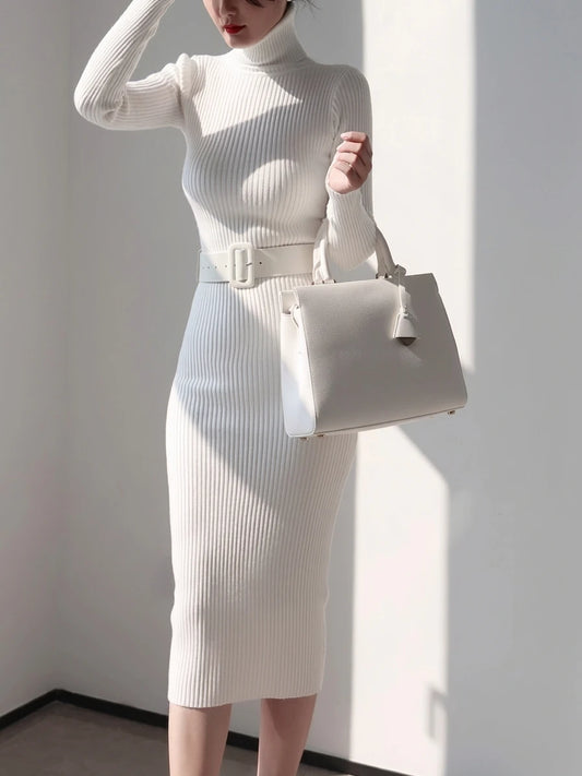 Strickkleid mit Rollkragen — Bodycon, Midi-Länge