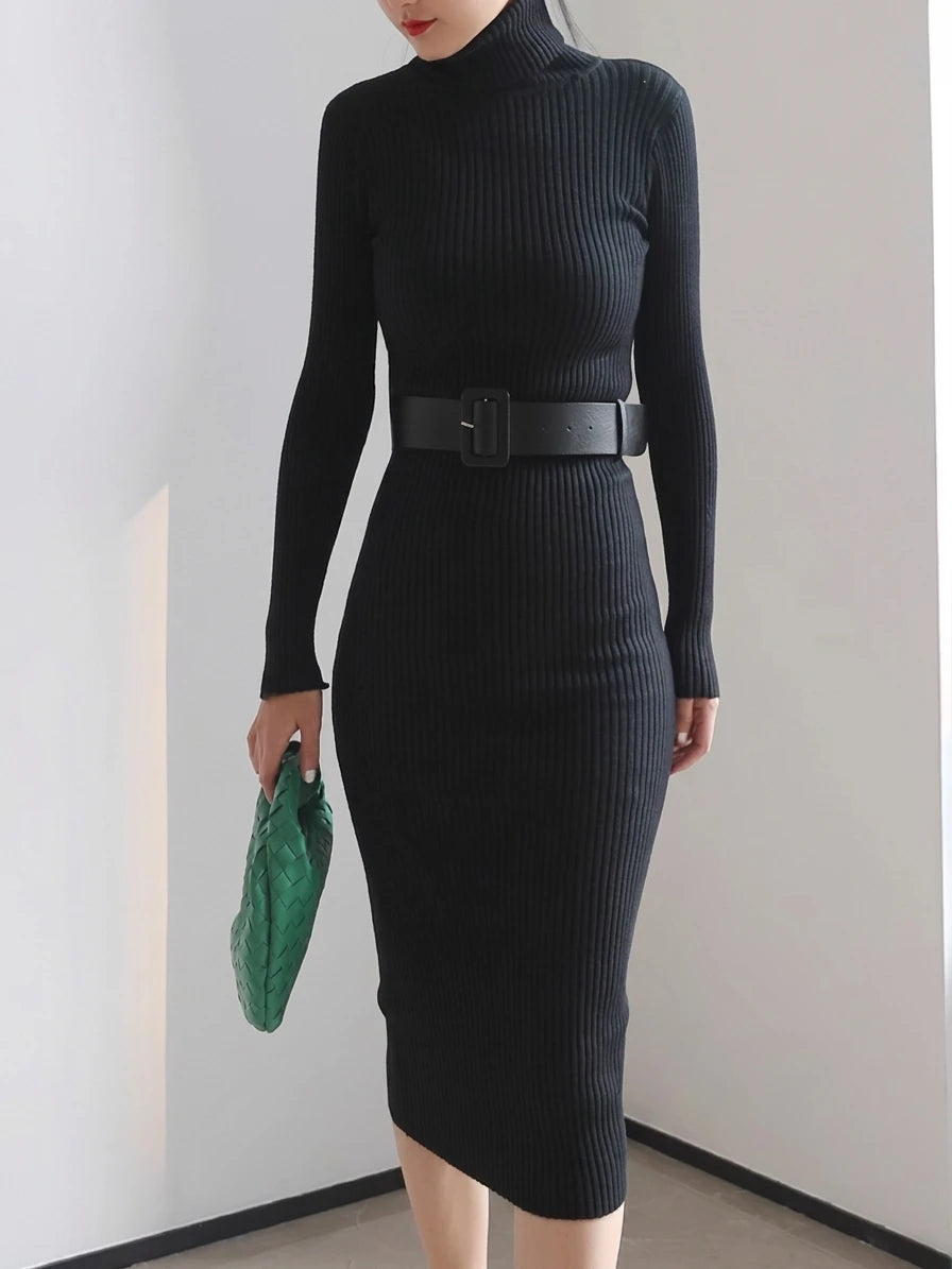 Strickkleid mit Rollkragen — Bodycon, Midi-Länge