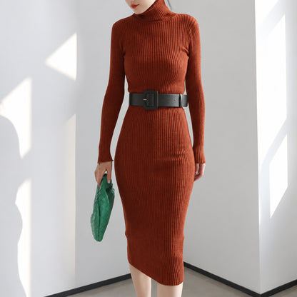 Midi-Strickkleid Rollkragen